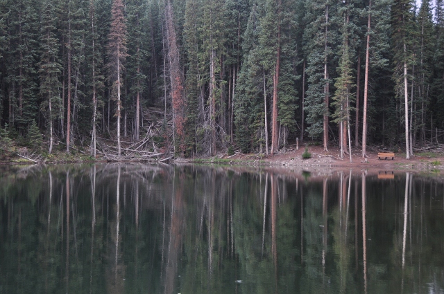 fishing pond at elk camp